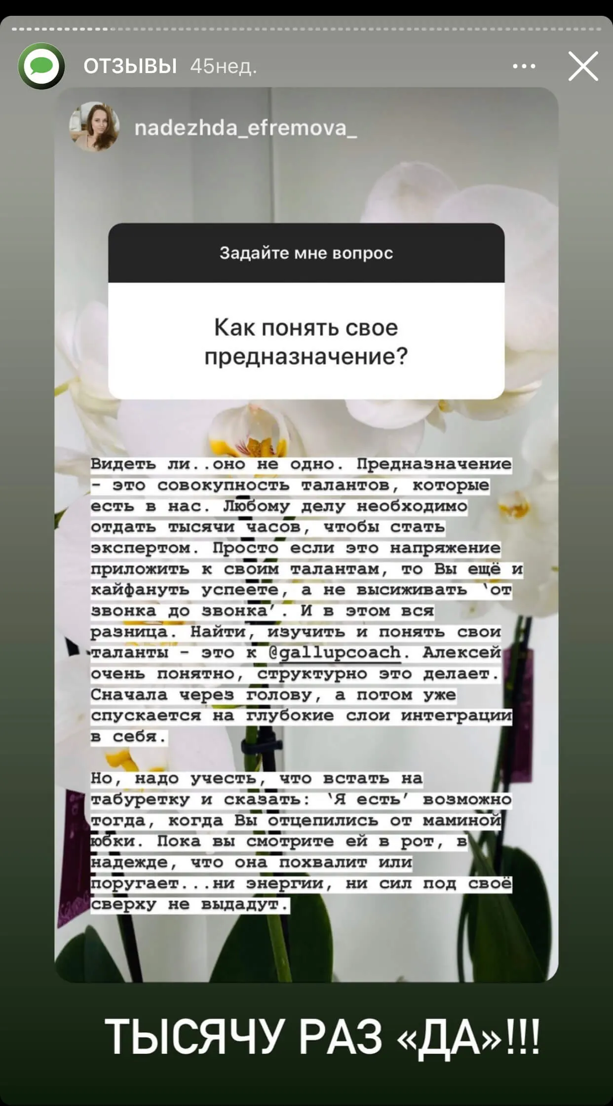 Отзыв