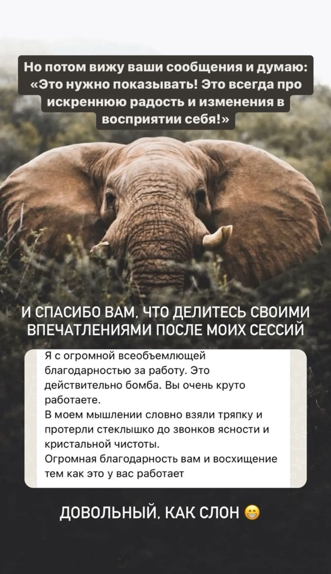 Отзыв
